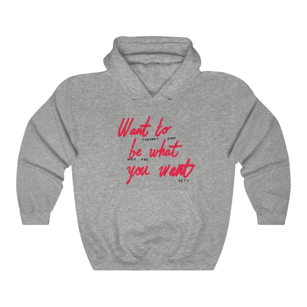Want to Be What You Wear Hoodie